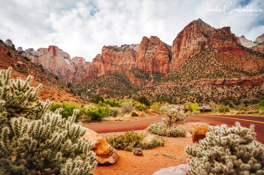 Zion National Park Scenic View